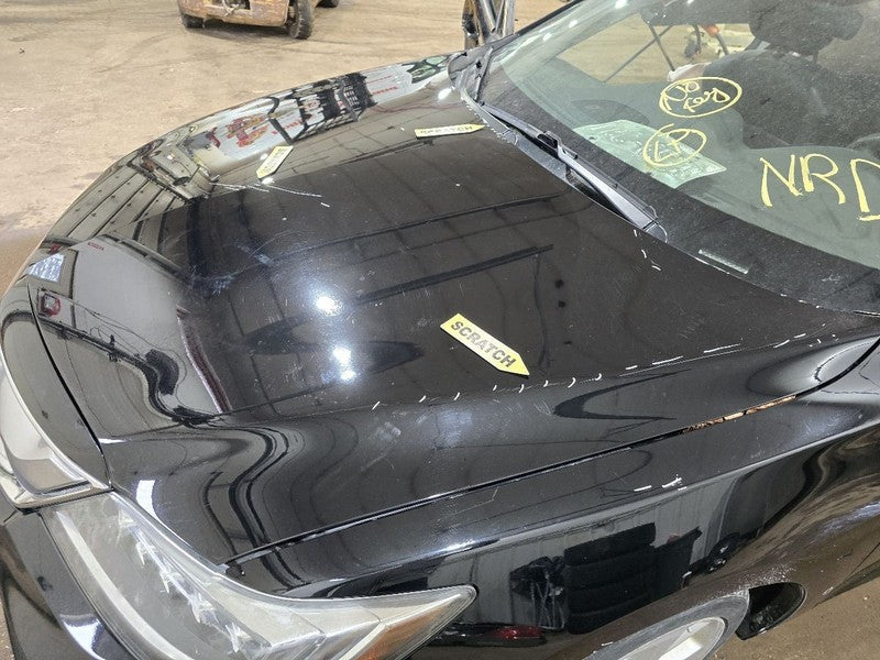 Hood Fits 16-18 ILX 619126