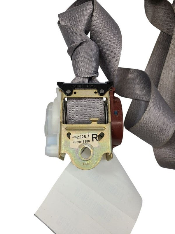 SEQUOIA   2002 Seat Belt Rear 613743