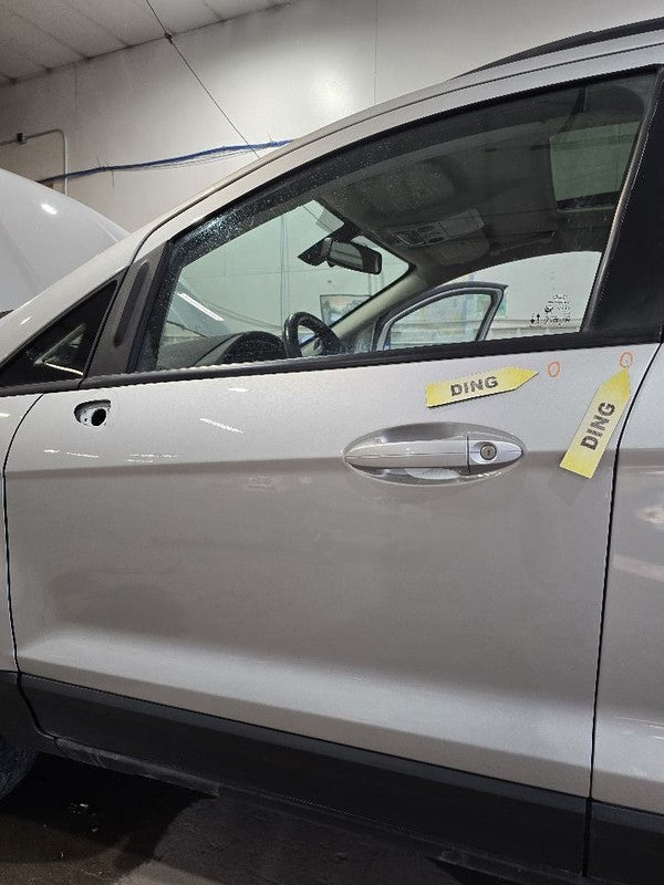 Driver Left Front Door Fits 18-22 ECOSPORT 617529