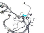 F350SD    2005 Engine Wire Harness 648014