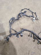 OUTLANDER 2020 Engine Wire Harness 619587