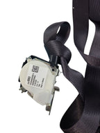 SILVRDO35 2016 Seat Belt Rear 646512