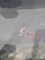 TC SCION  2009 Rocker Panel Moulding 673327