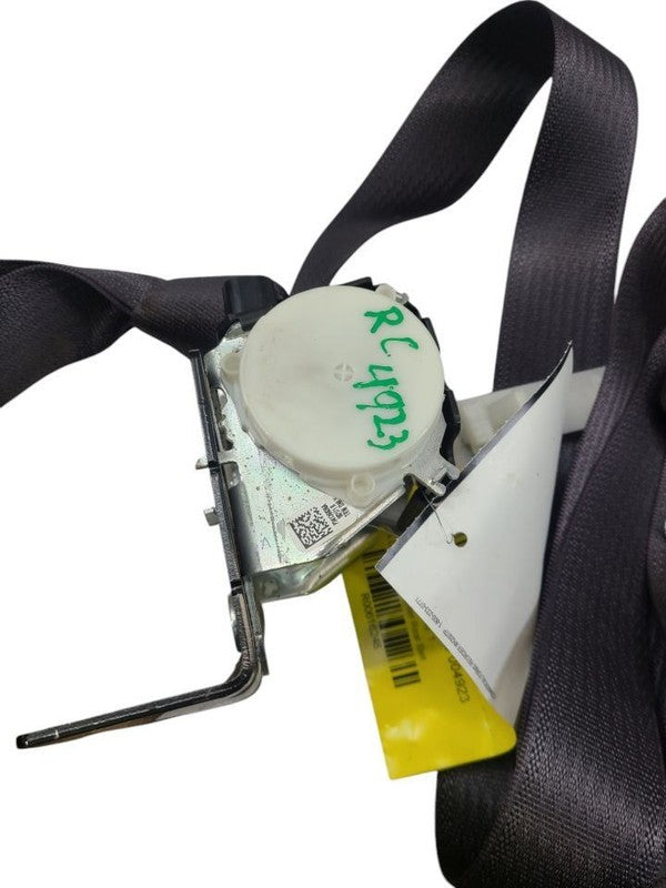 SILVRDO15 2017 Seat Belt Rear 616248