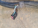 GRAND-WAG 1987 Body Wire Harness 660823