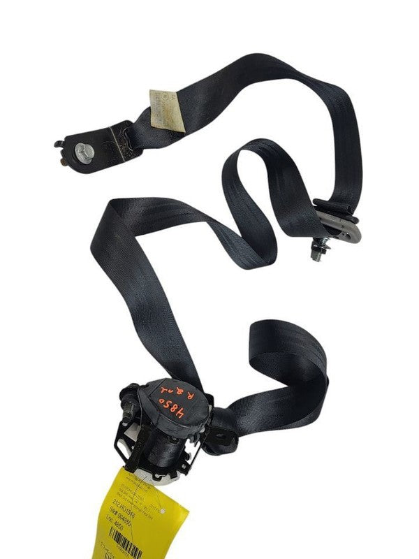 PILOT     2016 Seat Belt Rear 608355