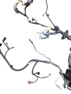 4 RUNNER  2005 Lamp Wiring Harness 639677
