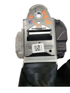 ECOSPORT  2018 Seat Belt Rear 610244