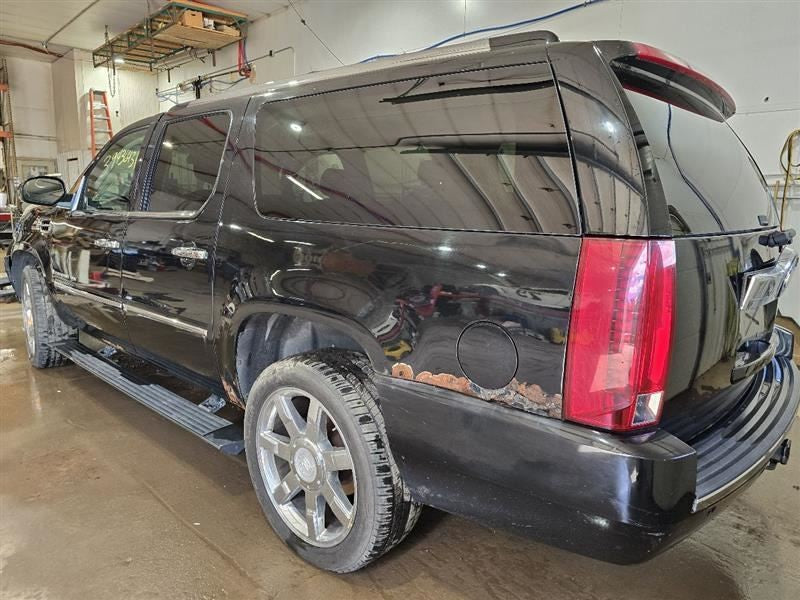 Seat Belt Front Bucket And Bench Passenger Fits 07-08 AVALANCHE 1500 5