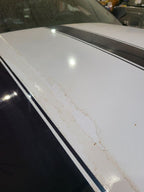 Hood Without Hood Scoop Fits 10-15 CAMARO 673254