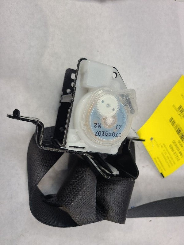 LS460     2008 Seat Belt Rear 606207