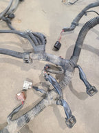 TACOMA    2005 Engine Wire Harness 673800