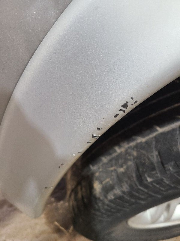 DAKOTA    2002 Fender Flare/Extension 663248