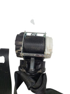 RAM15NEW  2019 Seat Belt Rear 660180