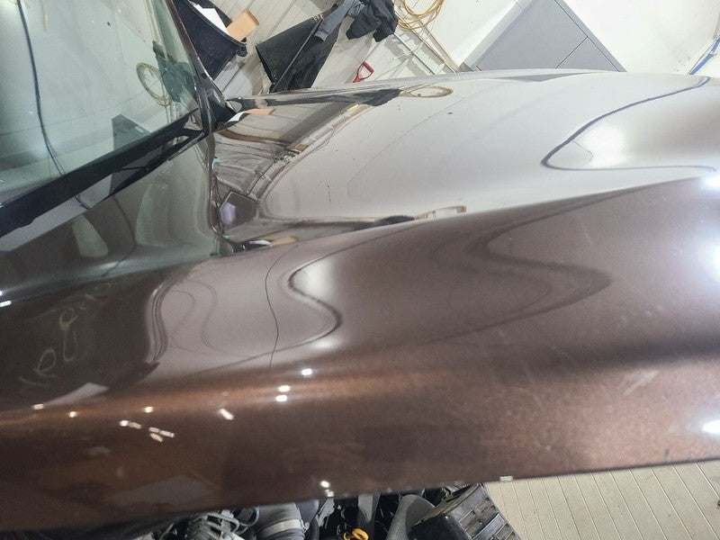 Hood Fits 15-19 LEGACY 666361