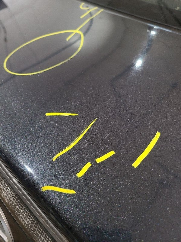 Trunk/Hatch/Tailgate Without Spoiler Fits 05-10 SCION TC 673322