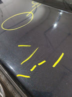 Trunk/Hatch/Tailgate Without Spoiler Fits 05-10 SCION TC 673322