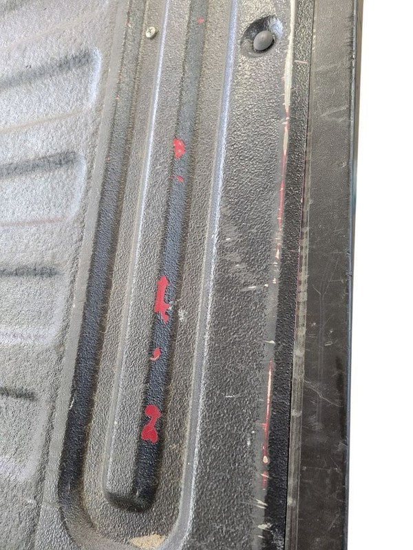 Trunk/Hatch/Tailgate Styleside Box Fits 08 FORD F150 PICKUP 677574