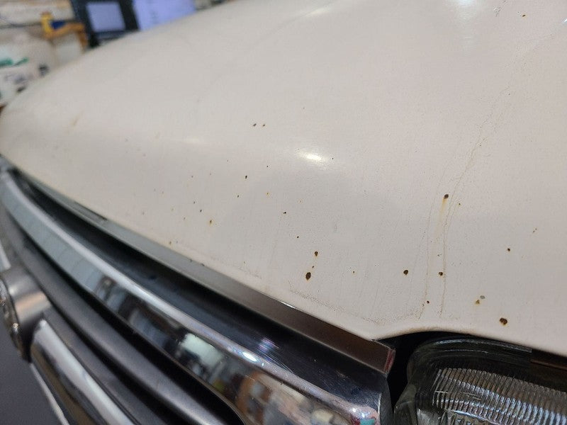 Hood Without Hood Scoop Fits 96-02 4 RUNNER 675294