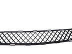 Grille Lower Fits 08-12 ENCLAVE 657306
