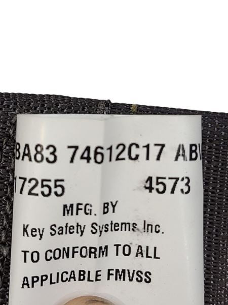 FLEX      2018 Seat Belt Rear 598459