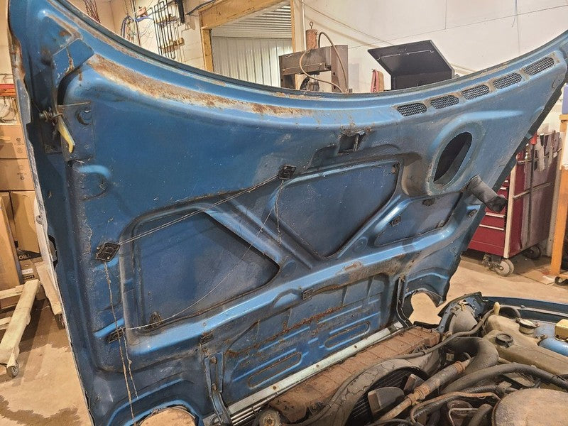 Hood Fits 75-77 PACER 661287
