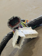 ROGUE     2020 Body Wire Harness 643755