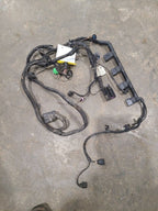 TIGUAN    2016 Engine Wire Harness 611056