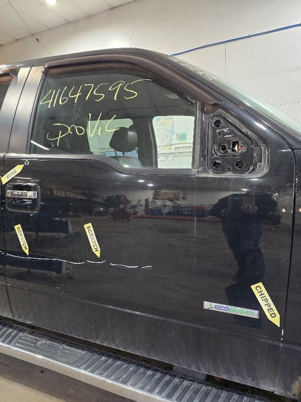 Passenger Front Door Electric Fits 09-14 FORD F150 PICKUP 624238