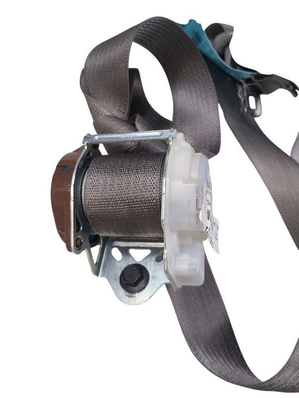 F150      2015 Seat Belt Rear 645705