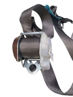 F150      2015 Seat Belt Rear 645705