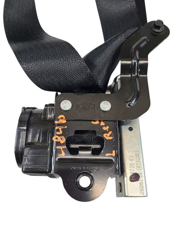 EDGE      2020 Seat Belt Rear 608045