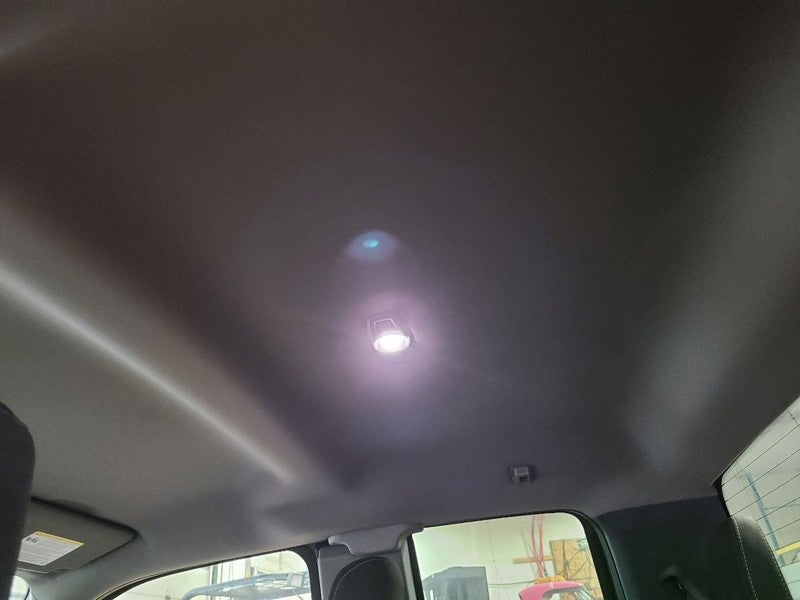 F150      2017 Headliner 669346