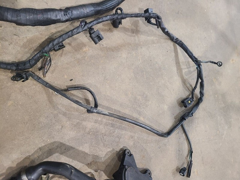SPRINTV25 2008 Engine Wire Harness 672977