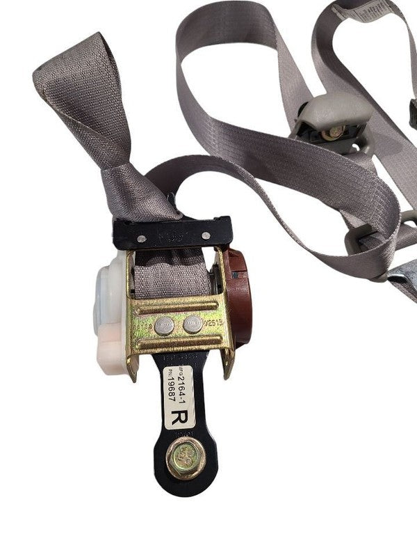 TACOMA    2002 Seat Belt Rear 635397