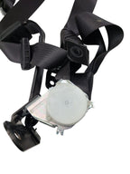 RAM15OLD  2020 Seat Belt Rear 624162