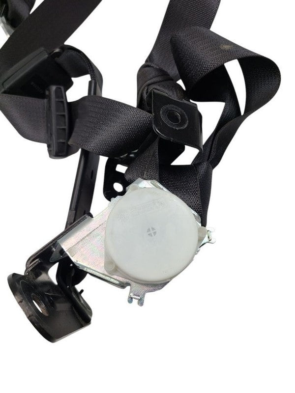 RAM15OLD  2020 Seat Belt Rear 624162