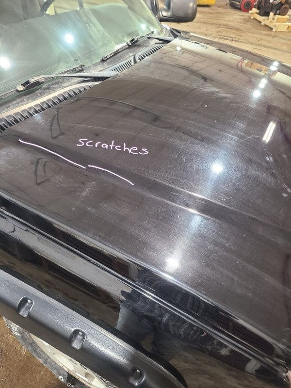 Hood Without Body Cladding Fits 03-06 AVALANCHE 1500 656504