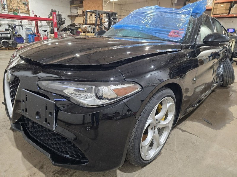 GIULIA    2019 Side View Mirror 612906