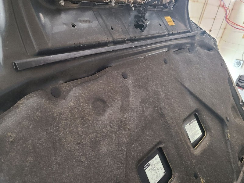 Hood Without Hood Scoop Fits 03-09 4 RUNNER 667343