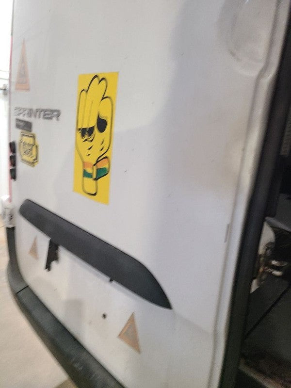 Driver Rear Back Door High Roof Fits 19-22 MERCEDES SPRINTER 1500 6720