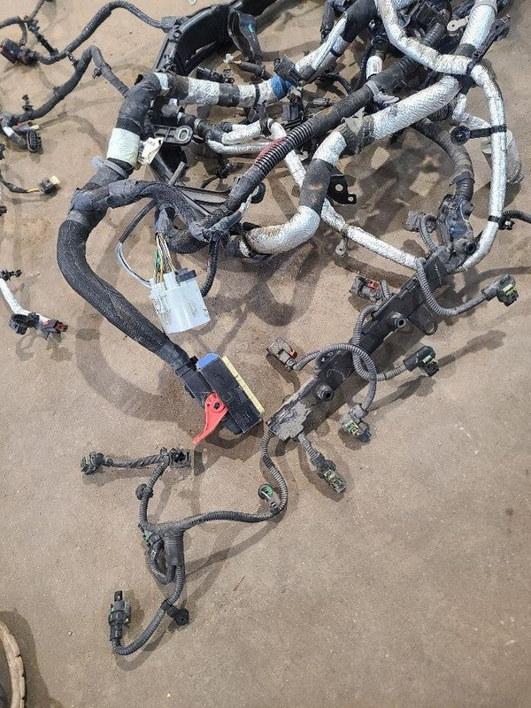 DURANGO   2019 Engine Wire Harness 669160