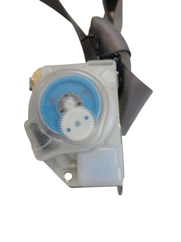 SEQUOIA   2005 Seat Belt Rear 664241