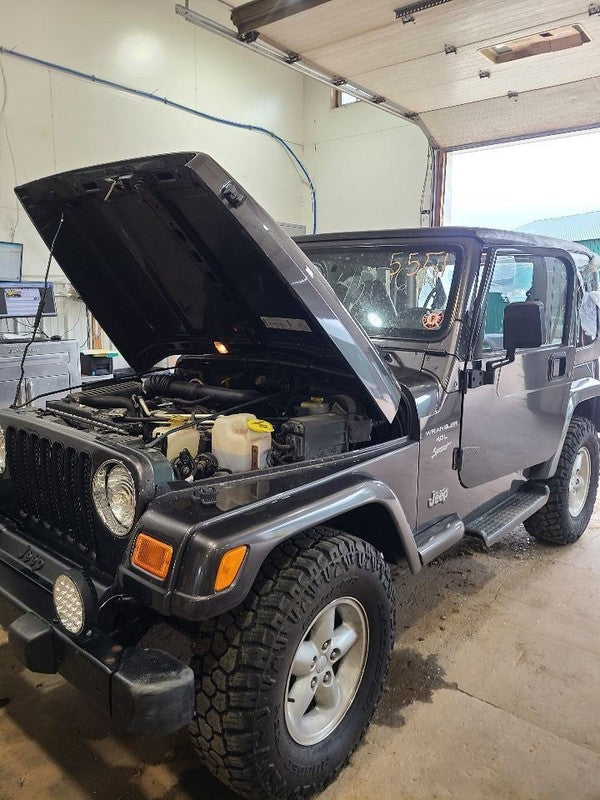 Radiator Fits 97-06 WRANGLER 668946