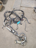 YUKON     2008 Engine Wire Harness 624023