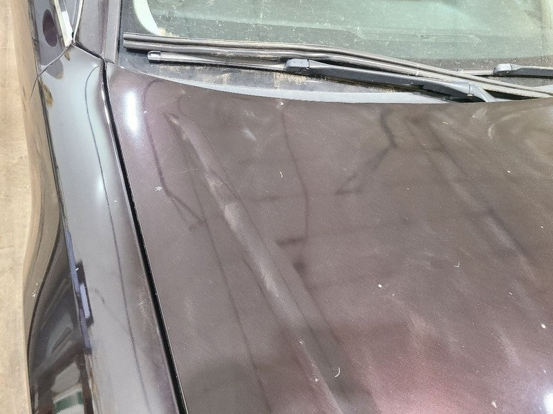 Hood Fits 05-10 AUDI A8 670877