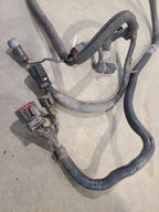 TFORD150  1995 Transmission Wire Harness 664097