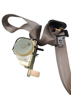EXPEDITON 1998 Seat Belt Rear 665522