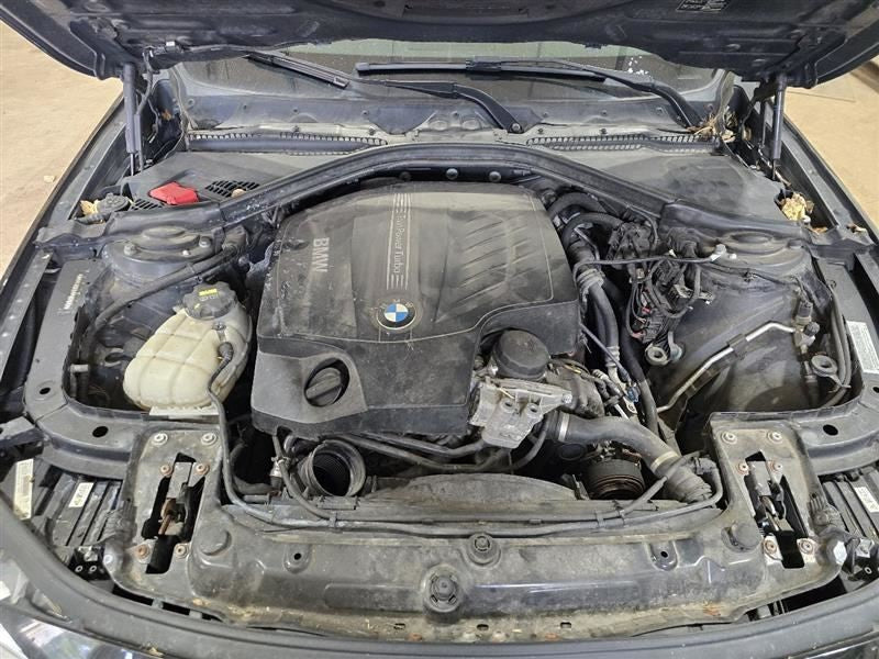 Seat Belt Front Bucket Passenger Buckle Fits 12-18 BMW 320i 604495