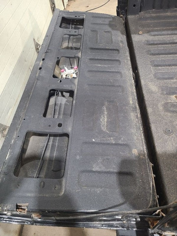 Trunk/Hatch/Tailgate With Rear View Camera Fits 15-17 FORD F150 PICKUP